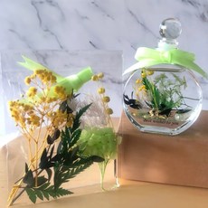 A-ONE 匯旺 浮游花DIY花材包 Set, 天然植物乾燥花, H12 翠意盎然 彩色