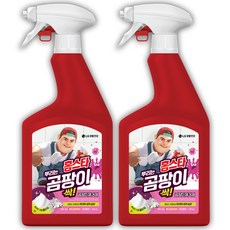 홈스타 뿌리는 곰팡이 싹 후로랄향 세정제, 750ml, 2개