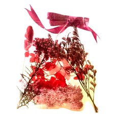 A-ONE 匯旺 浮游花DIY花材包 Set 3，天然植物乾燥花，產品尺寸(含包裝)約: 12 x 12 CM, H23 紅焰曙光 彩色