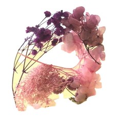 A-ONE 匯旺 浮游花DIY花材包 Set 3包 - 燦紫緋舞 H44 10g 天然植物乾燥花, H44 煙紫輕舞 彩色