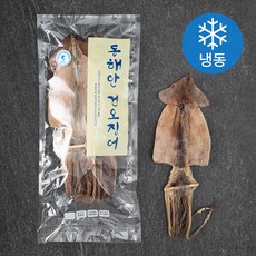 동해안 건오징어 10마리 (냉동), 480g, 1봉