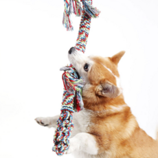 DING DONG PET 寵物拖曳玩具 120cm, 混色, 1個