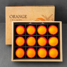 썬키스트 네이블 오렌지 세트, 3400g(12과 내외), 1개