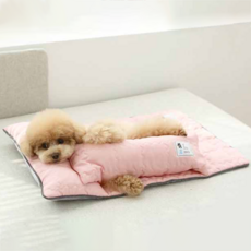 이츠독 인견 프리미엄 쿨링 매트, 핑크, 1개