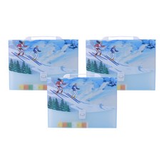 알로데 아트 아코디언 13포켓 A4 서류 정리함 33 x 26 x 3 cm, 06 스키, 3개