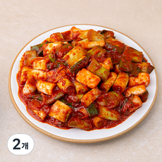 신영 정담은 대파김치, 1.5kg, 2개