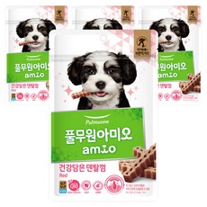 풀무원아미오 강아지 건강담은 덴탈껌, 레드, 100g, 4개