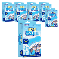 아텍스 온가족 냉각시트, 16개입, 6개