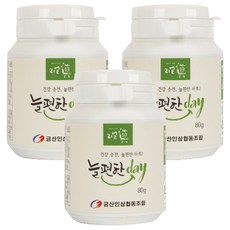금산인삼협동조합 리얼진 늘편한 day 800p, 80g, 3개
