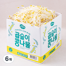 맑은물에 곱슬이 콩나물, 3.5kg, 6개