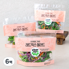 신선함을 그대로 레드믹스 샐러드, 80g, 6팩
