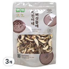 하진이네버섯뜰에 무농약 건조 표고버섯 슬라이스, 100g, 3개
