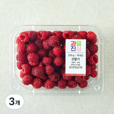 국내산 과일진심 산딸기, 3개, 250g