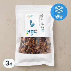 남해안 말린홍합 (냉동), 300g, 1개입, 3개