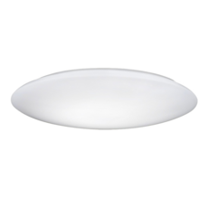 TOSHIBA 東芝 LED 40W 小房間吸頂燈, 希望