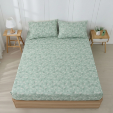 Hong Yew Bedding 鴻宇寢飾 雙人加大床包枕套組 100%精梳純棉 菲歐娜 台灣製c20152