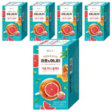 담터 프룻 앤 허니 자몽허니블랙티, 1g, 20개입, 5개