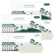 라운드랩 소나무 진정 시카 코팩, 5개입, 2개