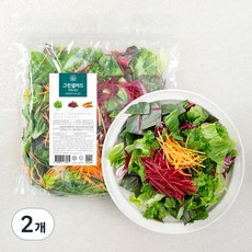 저스트그린 그린샐러드 비트 & 당근, 425g, 2개