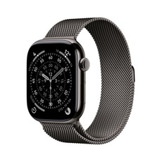 Apple 2025 애플워치 11, 슬레이트, 46mm, GPS+Cellular, 티타늄,슬레이트/슬레이트 밀레니즈 루프, S/M 슬레이트, 46mm, GPS+Cellular, 티타늄,슬레이트/슬레이트 밀레니즈 루프, S/M