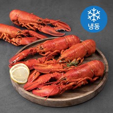 캐나다산 바닷가재 자숙 중 5입 (냉동), 1.75kg, 1박스