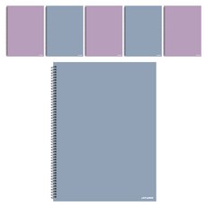 ARTMORE 對半 2分割 數學練習本 80p, 6個, 隨機出貨