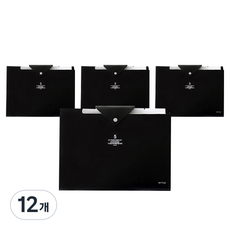 알로데 심플 도큐먼트 파일 보관 케이스, TYPE 01 블랙, 12개