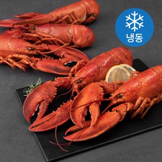 캐나다산 바닷가재 자숙 대 5입 (냉동), 2kg, 1박스