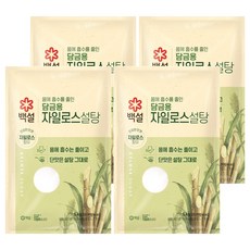 백설 담금용 자일로스 설탕, 5kg, 4개