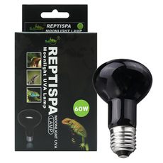 스파크주 파충류용 문라이트 램프 60W, 혼합색상, 1개