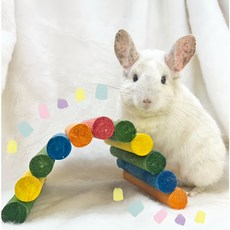 KAYTEE 寵物遊戲棒棒屋 Medium 熱帶風情 可彎曲, 1個