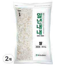 농협 2025년산 일년내내 신동진 쌀, 4kg, 2개, 상등급