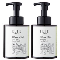엘르 퍼퓸 버블 핸드워시 시트러스민트, 2개, 500ml
