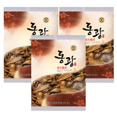 동광한방몰 더 구수한 볶은 우엉차, 300g, 3개