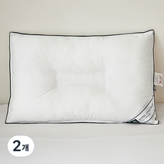 코멧 홈 진드기세이프 호텔식 프리미엄 마이크로화이버 경추형 베개솜, 화이트, 2개