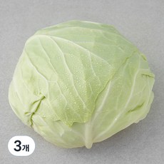 국내산 친환경 양배추, 1통, 3개