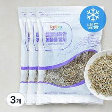 딜리조이 남해안 볶음용 멸치 (냉동), 300g, 3개