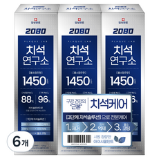 2080 牙結石研究所 高含氟牙結石護理牙膏 冰涼薄荷, 120g, 6個
