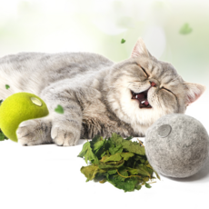 HEALING TIME BTOB 貓薄荷花朵羊毛球 (2入/顏色隨機) NH-0226, 隨機出貨, 2個