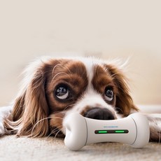 寵物骨頭造型玩具 151.5*64*64mm, 混色, 1個