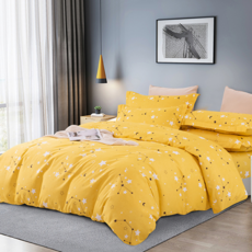 Blue Cat 藍貓 銀離子抗菌薄被套, 星象