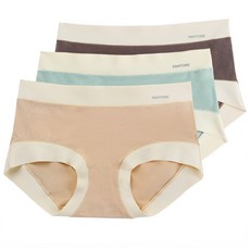 PANTONE 여성용 소프트 레이온 삼각 팬티 3종 세트