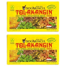 SIDOMUNCUL 蜂蜜薄荷風味調味飲品 (12入), 180ml, 2盒