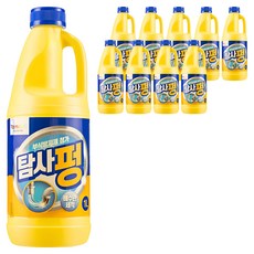 탐사 배수구 세정제, 1L, 10개