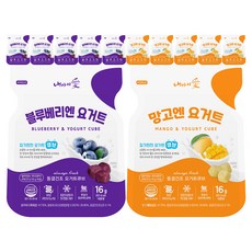 내아이애 동결건조 요거트엔 유아과일큐브, 블루베리 3p + 망고3p, 2세트, 16g