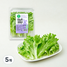 그린래빗 무농약 인증 카이피라, 100g, 5개