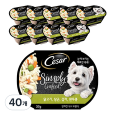 시저 강아지 심플리 크래프티드 습식사료, 닭, 37g, 40개