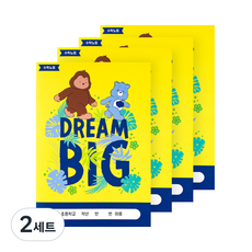 루카랩 케어베어 초등용 수학노트 4p 세트, 드림 빅, 2세트