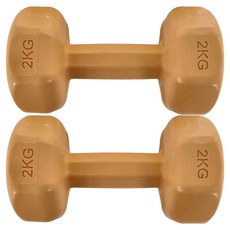 多彩小啞鈴 單隻, 2kg, 2組