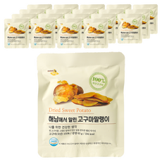 해남고구마 해남에서 말린 고구마말랭이, 20개, 60g